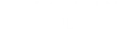 Dolphin Studios LLC Logo